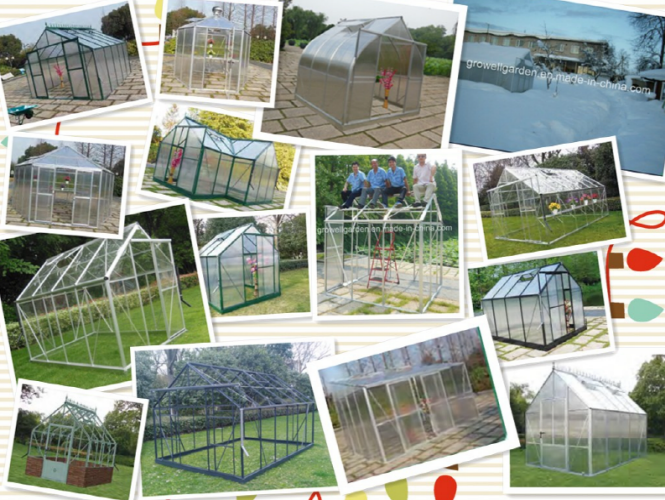 MC323 Medium greenhouse